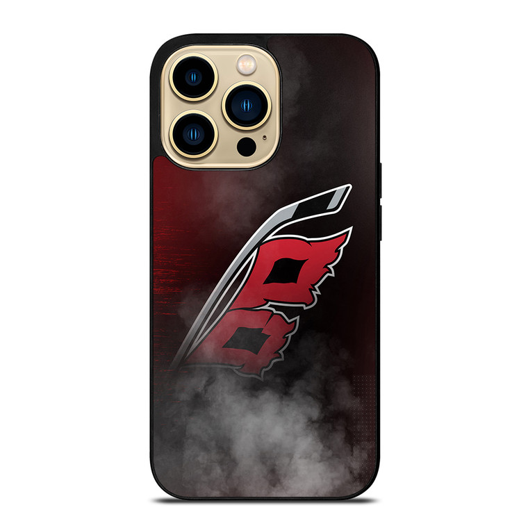 CAROLINA HURRICANES HOCKEY LOGO iPhone 14 Pro Max Case Cover