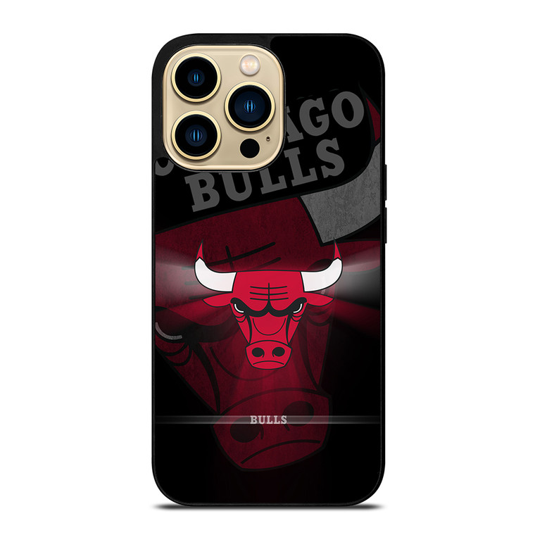 CHICAGO BULLS 1 iPhone 14 Pro Max Case Cover