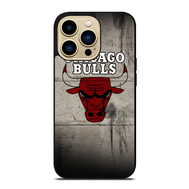 CHICAGO BULLS 2 iPhone 14 Pro Max Case Cover