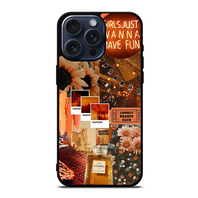 AESTHETIC 2 iPhone 15 Pro Max Case Cover