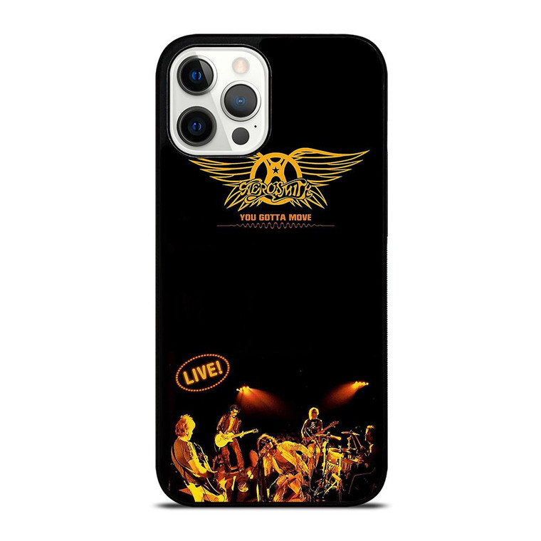 AEROSMITH LIVE iPhone 12 Pro Max Case Cover