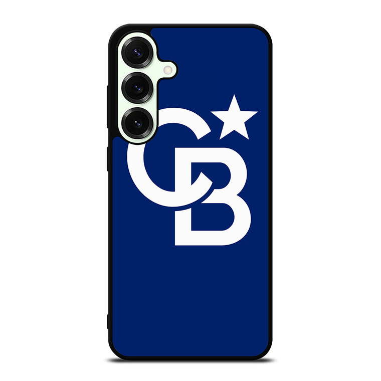 COLDWELL BANKER LOGO Samsung Galaxy S25 Plus Case Cover
