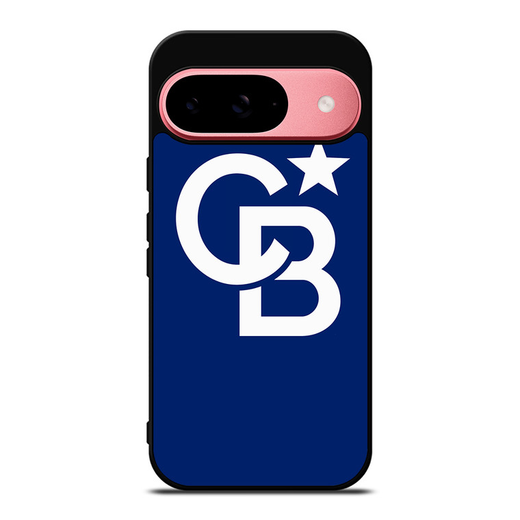 COLDWELL BANKER LOGO Google Pixel 9 Case Cover