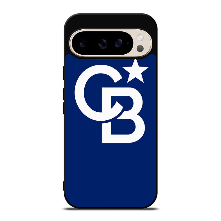 COLDWELL BANKER LOGO Google Pixel 9 Pro Case Cover