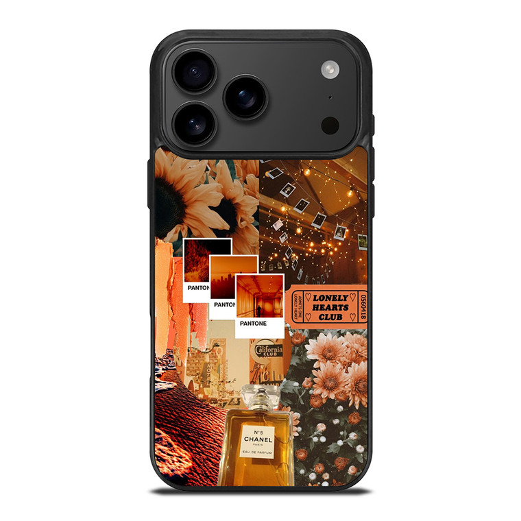AESTHETIC 2 iPhone 17 Pro Max Case Cover
