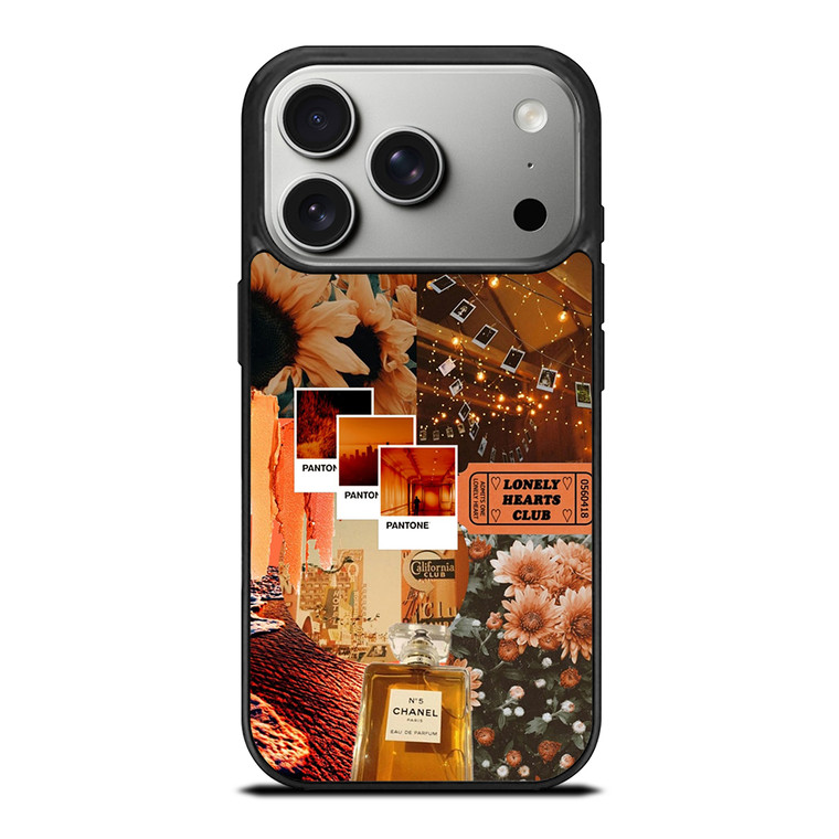AESTHETIC 2 iPhone 17 Pro Case Cover