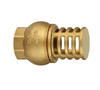 Brass Fitting - Foot Valve 3/4"