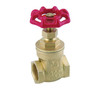 General Industry Gate Valve - 1/2"