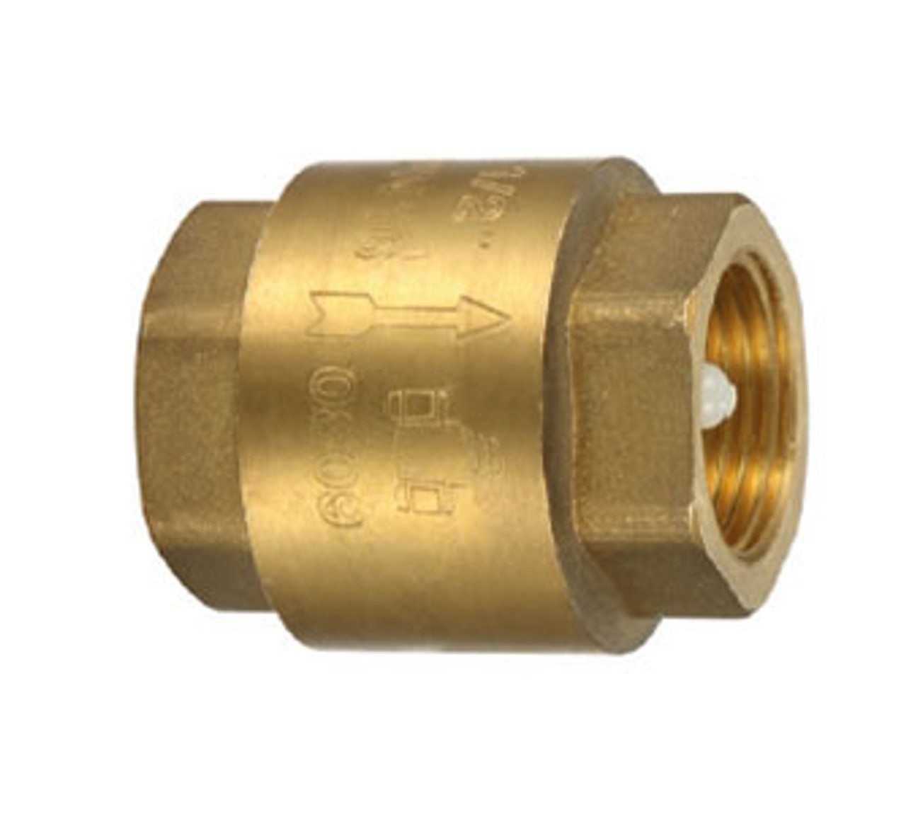 Brass Fitting - Spring Check Valve 2"