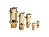 Safety Relief Valves (SRV)