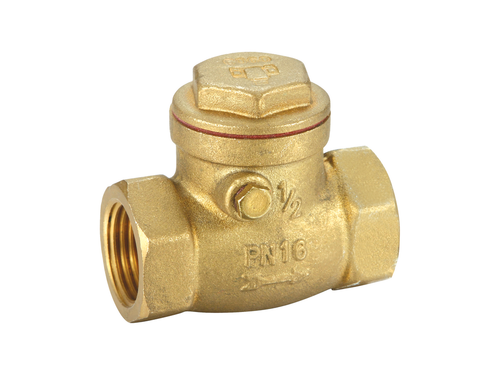 Swing Check Valve (Fittings)