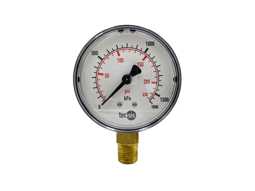 3/8"-BSPT 100mm Gauge BE