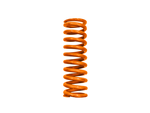 Stainless Steel Springs for  1" SRVs  BSP & NPT, for SRV 765 | 4457