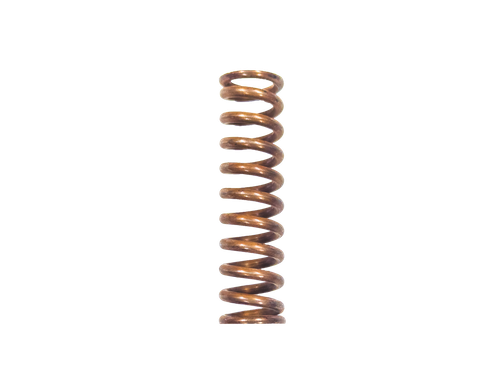 Stainless Steel Springs for  3/4" SRVs | 4562