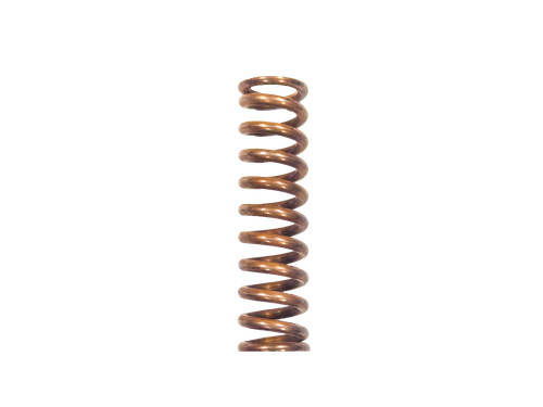 Stainless Steel Springs for  2" SRVs | 4571