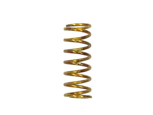 Stainless Steel Springs for  1/8" SRVs BSP & NPT | 4380