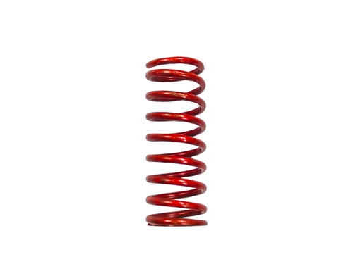Stainless Steel Springs for  1/8" SRVs BSP & NPT | 4378
