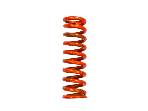 Stainless Steel Springs for  3/4" SRVs | 4469
