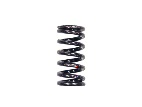 Stainless Steel Springs for  3/4" SRVs | 4470