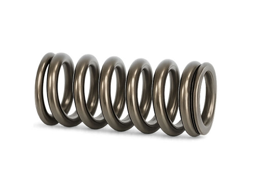 Stainless Steel Springs for 6010 Model Unset 1" Kunkle Valve BSP & NPT (Suits VALVE Orifice F) | 6806