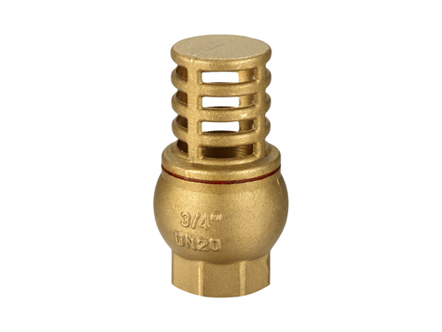 Foot Valve (Fittings)