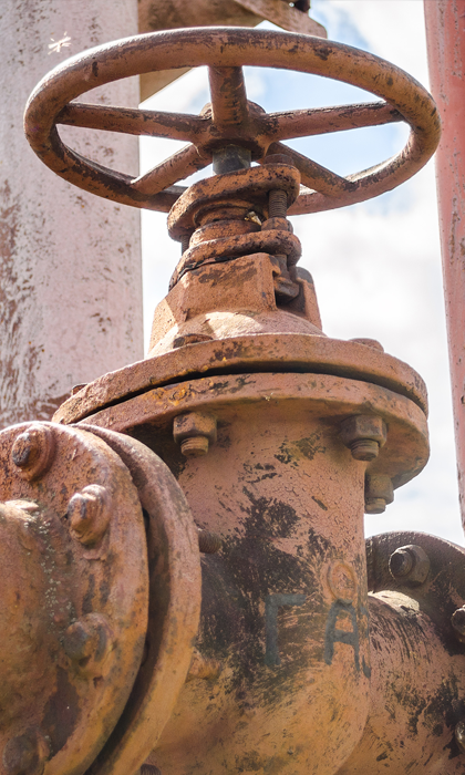 SRVs Exchange Programs