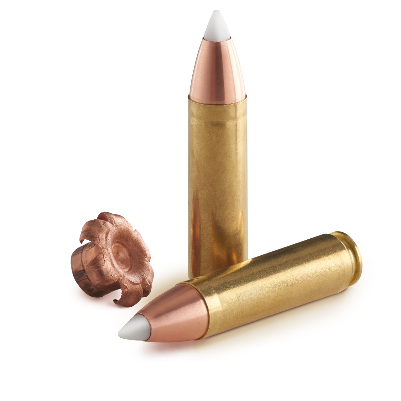 Bush Bullets muzzleloader bullet