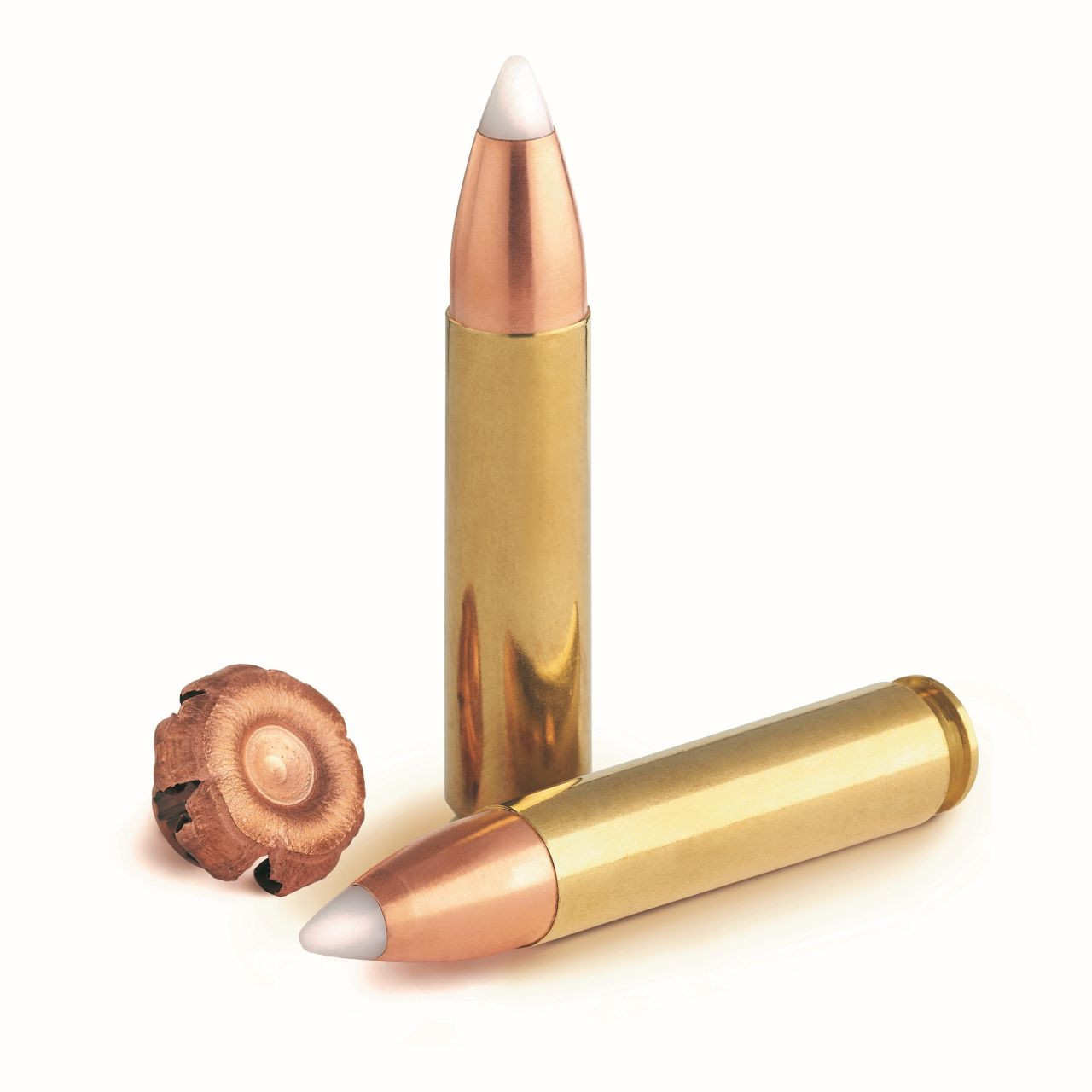 Best 400 Legend ammo for deer hunting.