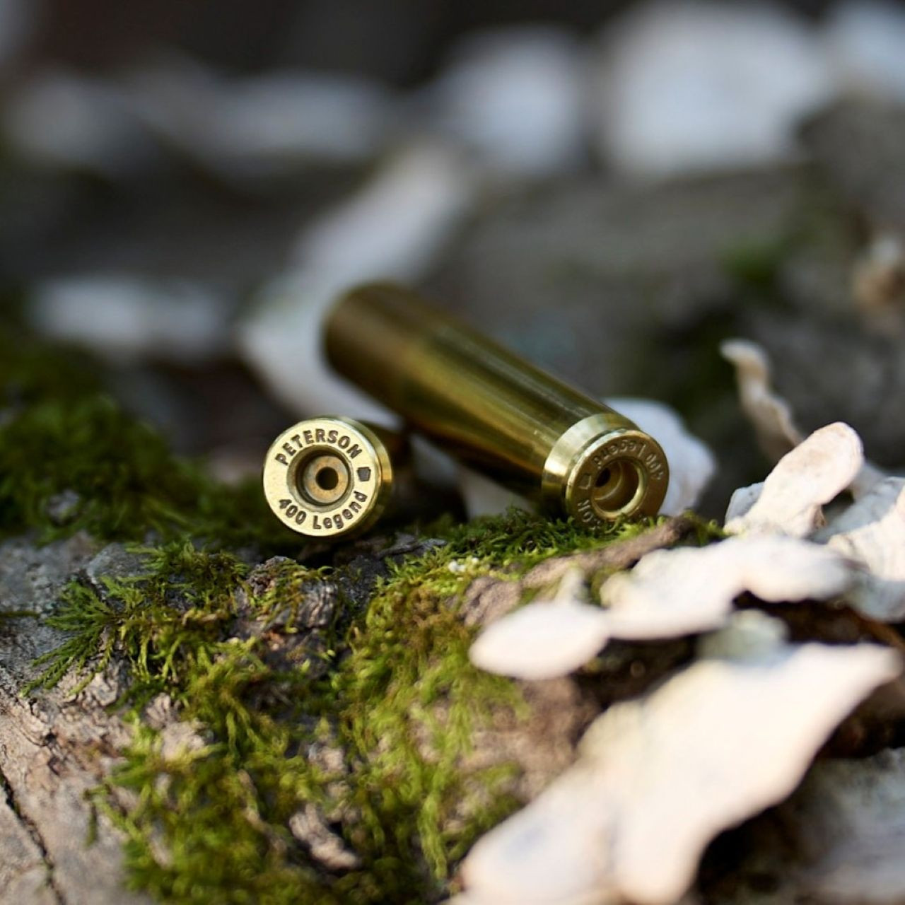 400 Legend Brass Bear Creek Ballistics