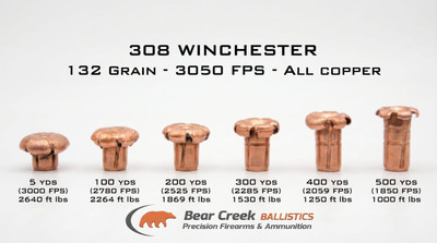 Best .308 Winchester Ammo for Deer Hunting