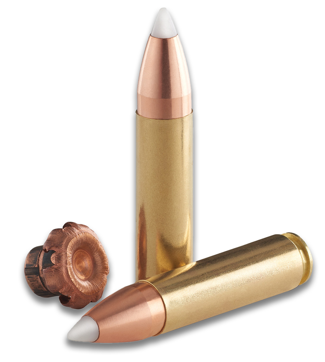 450 Bushmaster Ammunition