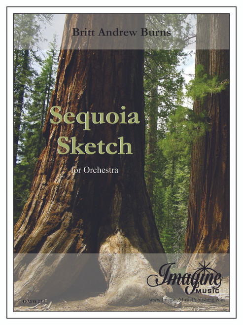 Sequoia Sketch (download)
