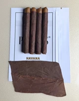 Paxton's Pearls® Havana Box