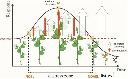 eustress-zone.jpg