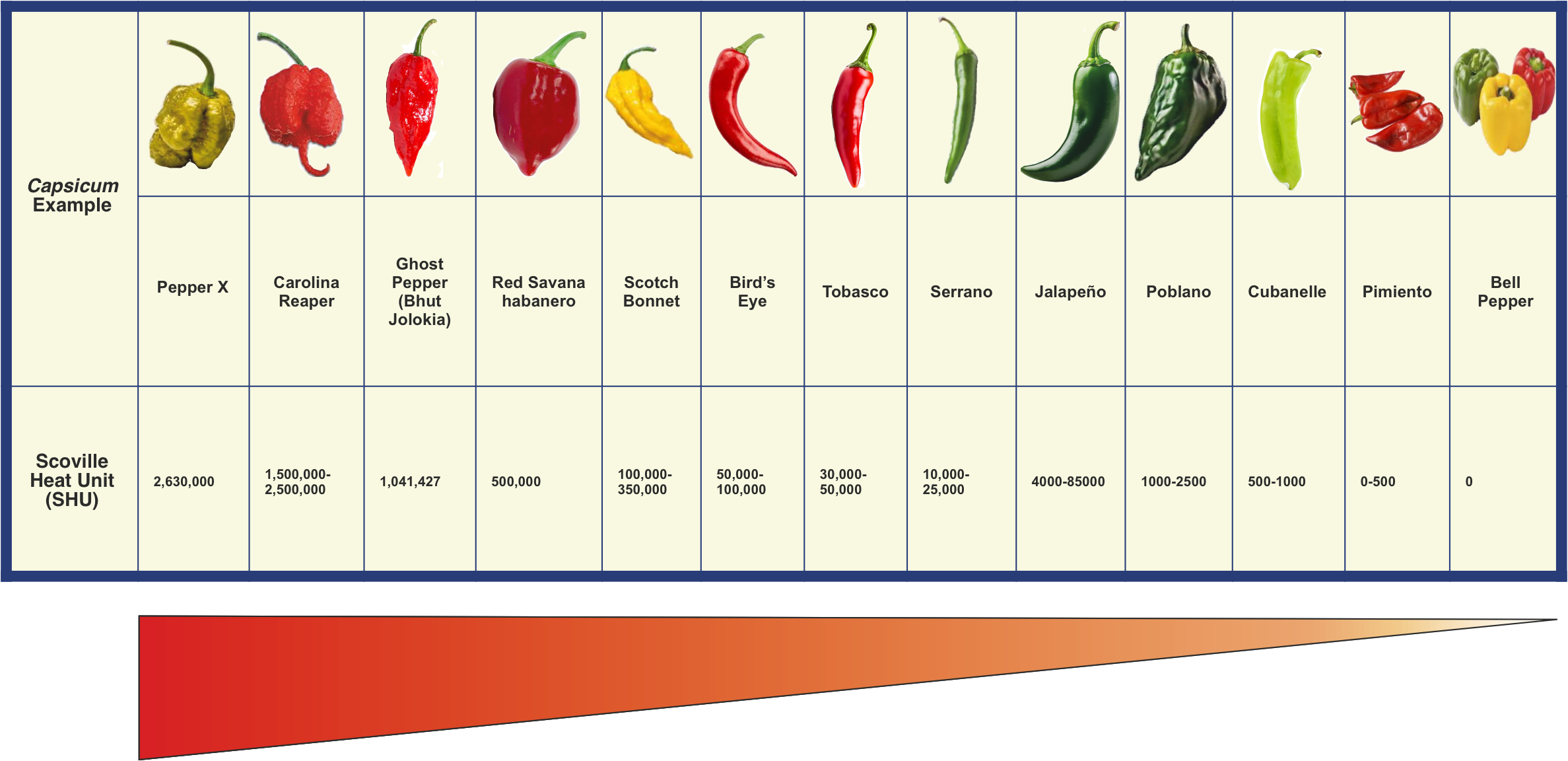 maven-elicitex-chilli-scoville-scale.png