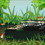 Doc No - Amanita Reverbiosa EP