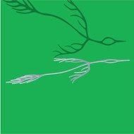 Astrid Sonne - outside of your lifetime