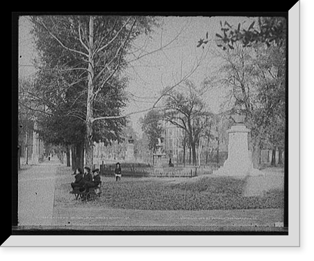 Savannah