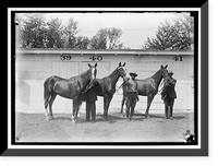 Historic Framed Print, HORSE SHOW - 2,  17-7/8" x 21-7/8"