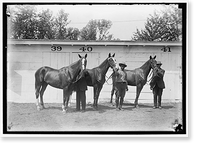 Historic Framed Print, HORSE SHOW - 2,  17-7/8" x 21-7/8"