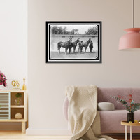 Historic Framed Print, HORSE SHOW - 2,  17-7/8" x 21-7/8"