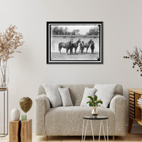 Historic Framed Print, HORSE SHOW - 2,  17-7/8" x 21-7/8"