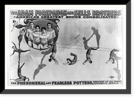 The Adam Forepaugh and Sells Borthers America's Greatest Shows Consolidated. The Phenomenal and Fearless Potters,, Historic Reproduction