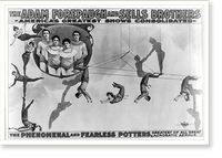 The Adam Forepaugh and Sells Borthers America's Greatest Shows Consolidated. The Phenomenal and Fearless Potters,, Historic Reproduction