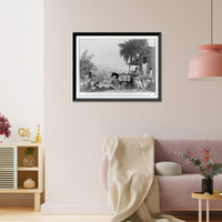 Historic Framed Print, [Sugar plantation],  17-7/8" x 21-7/8"