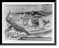 Sells Brothers enormous united shows.. The wonderful Snow White. zebu and riding peacock, Vintage Poster
