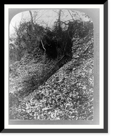 Historic Framed Print, Florida.  the shell mounds. Ft. George Id..Geo. Barker, photographer, Niagara Falls, N.Y.,  17-7/8" x 21-7/8"