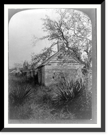 Florida. ruins of the slave cabins. Ft. George Id. Classic, Vintage Wall Art