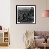 Historic Framed Print, The Old Tree at Fallen Leaf Lake, Valley of Lake Tahoe,  17-7/8" x 21-7/8"