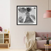 Historic Framed Print, Under the Dome of the Forest - William Cullen Bryant, Mammoth Grove, Calaveras County - Giant Tree,  17-7/8" x 21-7/8"